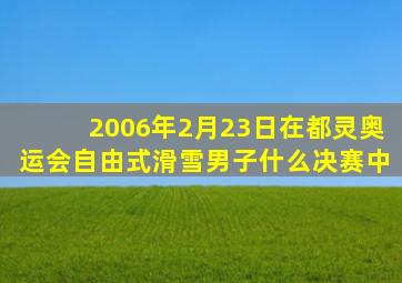2006年2月23日在都灵奥运会自由式滑雪男子什么决赛中