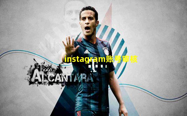 instagram账号审核