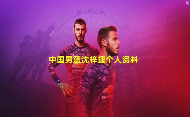 中国男篮沈梓捷个人资料
