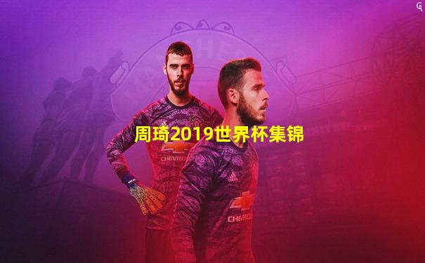 周琦2019世界杯集锦