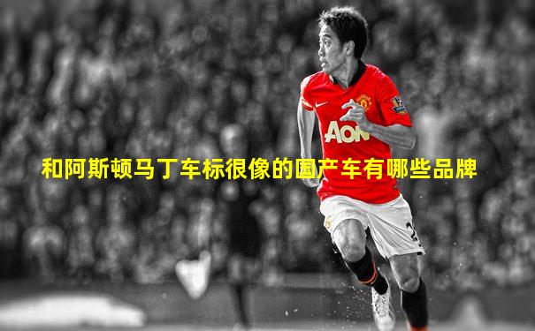 和阿斯顿马丁车标很像的国产车有哪些品牌