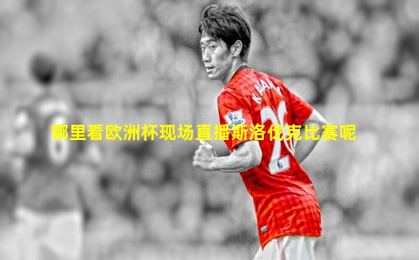 哪里看欧洲杯现场直播斯洛伐克比赛呢