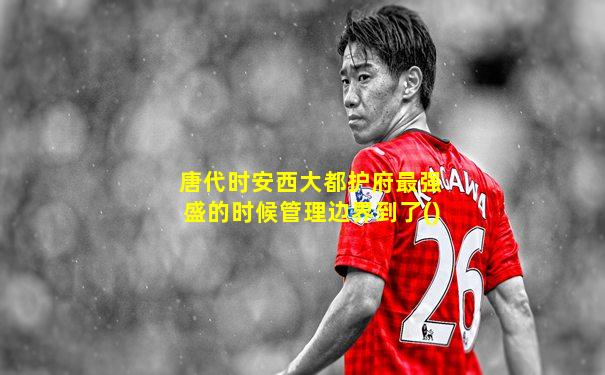 唐代时安西大都护府最强盛的时候管理边界到了()