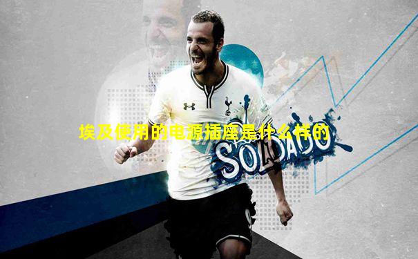 埃及使用的电源插座是什么样的