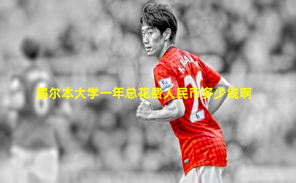 墨尔本大学一年总花费人民币多少钱啊