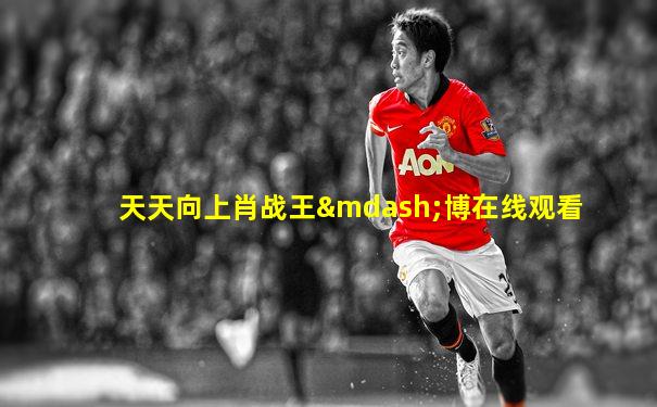天天向上肖战王—博在线观看