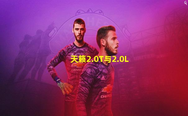 天籁2.0T与2.0L