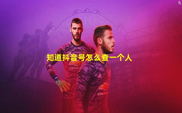 知道抖音号怎么查一个人