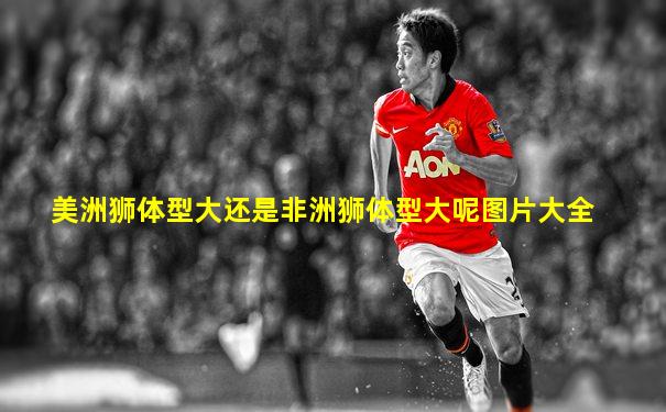 美洲狮体型大还是非洲狮体型大呢图片大全