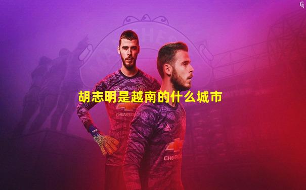 胡志明是越南的什么城市