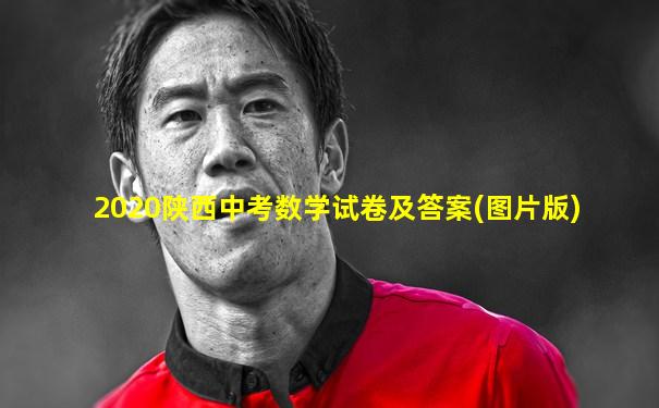 2020陕西中考数学试卷及答案(图片版)