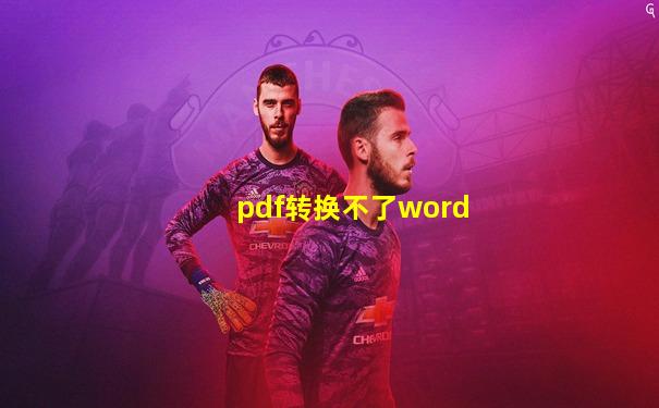 pdf转换不了word