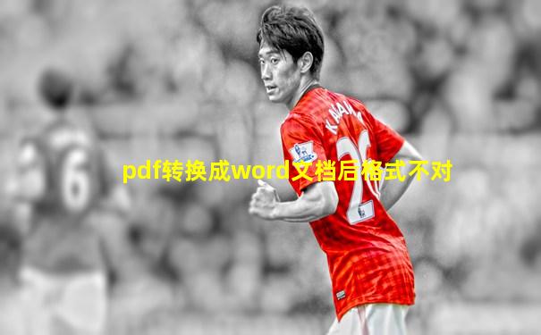pdf转换成word文档后格式不对