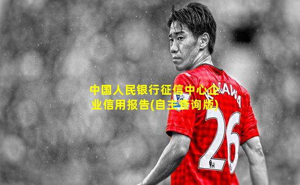 中国人民银行征信中心企业信用报告(自主查询版)