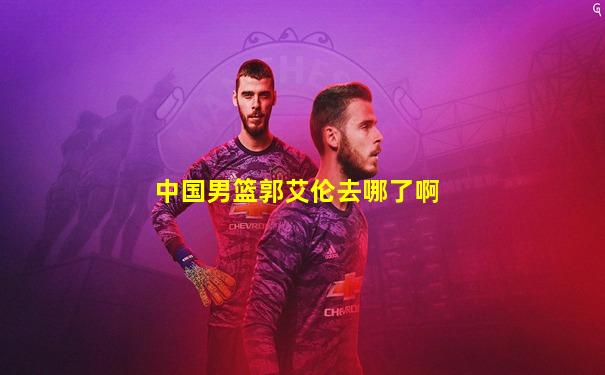 中国男篮郭艾伦去哪了啊