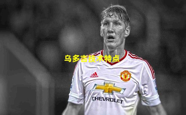 乌多吉技术特点