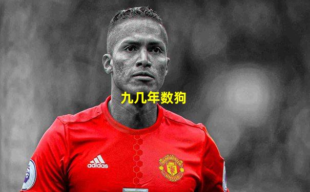 九几年数狗