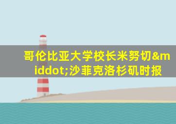 哥伦比亚大学校长米努切·沙菲克洛杉矶时报
