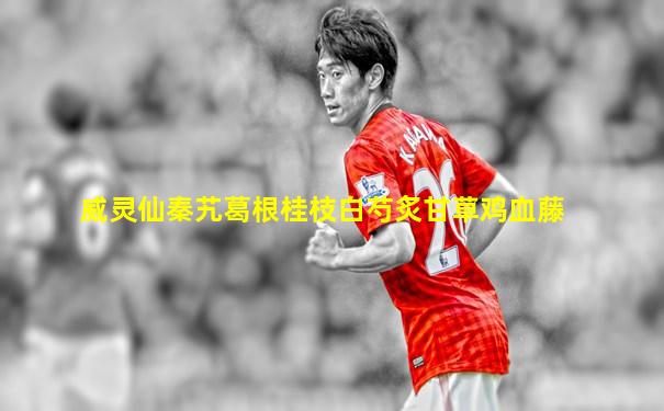 威灵仙秦艽葛根桂枝白芍炙甘草鸡血藤
