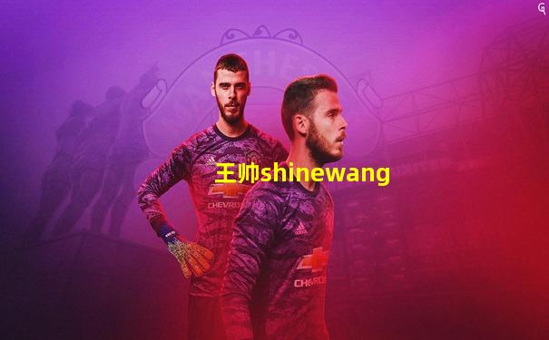 王帅shinewang