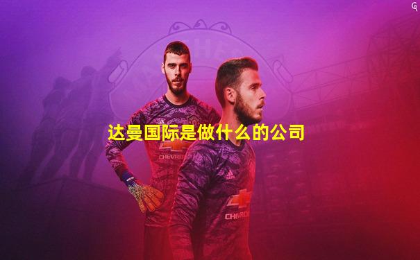 达曼国际是做什么的公司