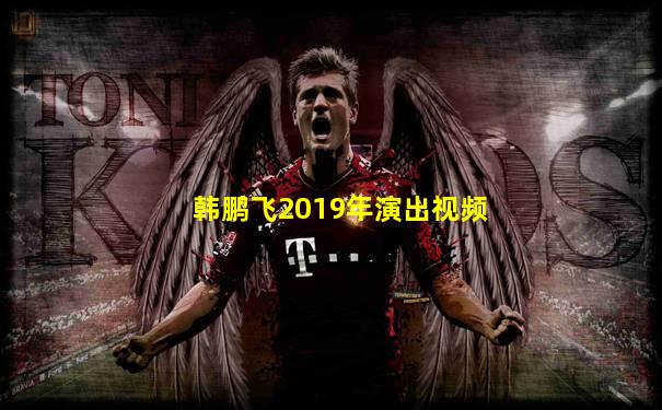 韩鹏飞2019年演出视频