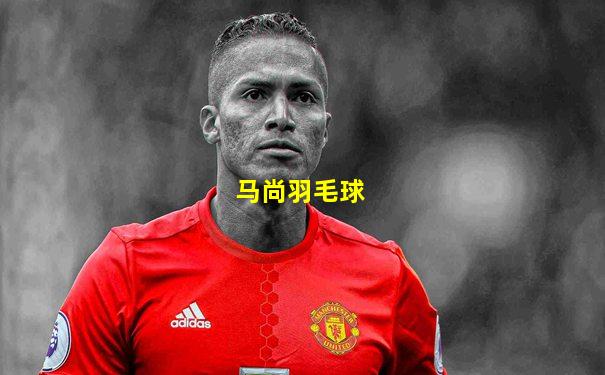马尚羽毛球