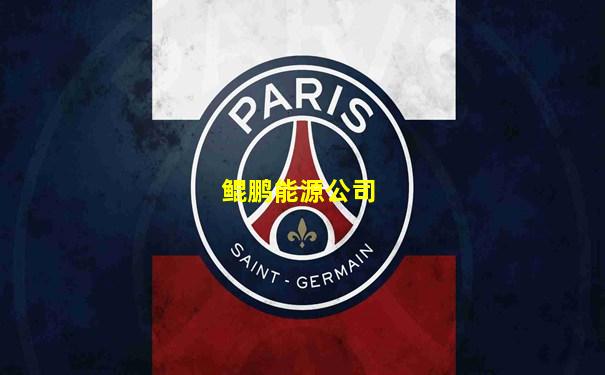 鲲鹏能源公司
